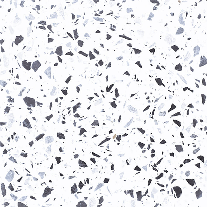 MULTICOLOR DALMATIAN